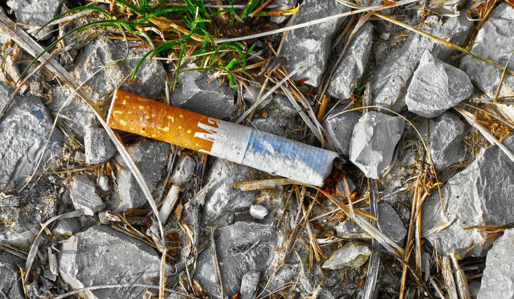 Cigarettes and their Environmental Impact Clean Beach Initiative