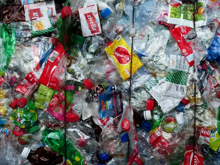 How Can I Fight Plastic Pollution?