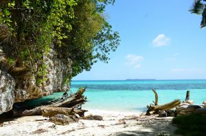 Palau Bans Sunscreens that Kill Coral Reefs